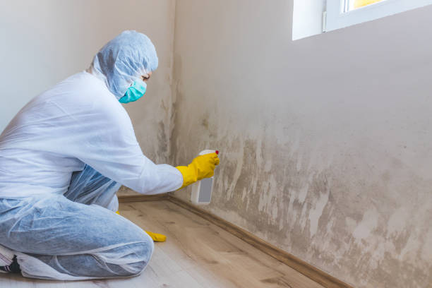 Mold Remediation specialist working in Minneapolis